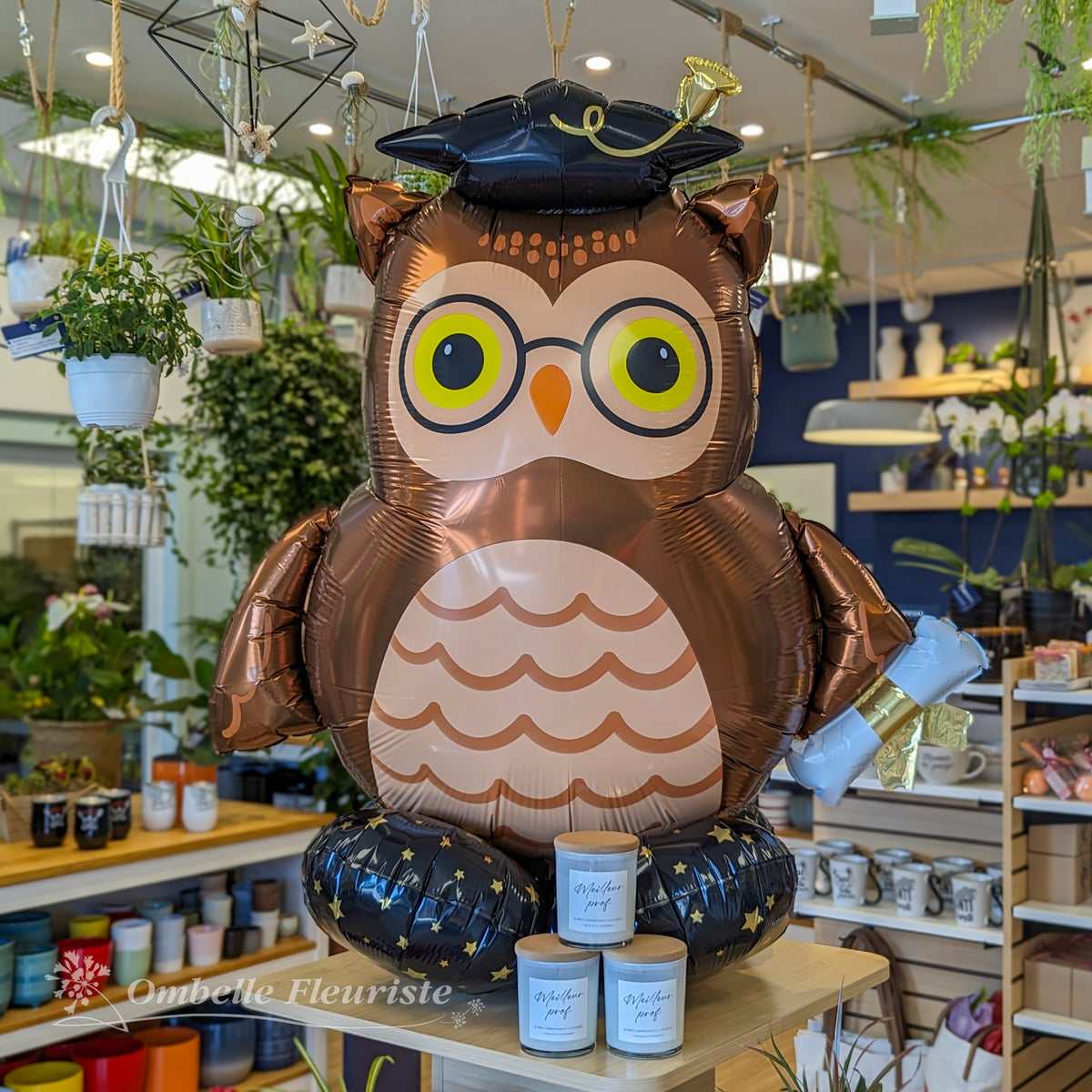 Ballon - Hibou diplômé