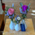 Trio blanc roses éternelles rose blanc violet